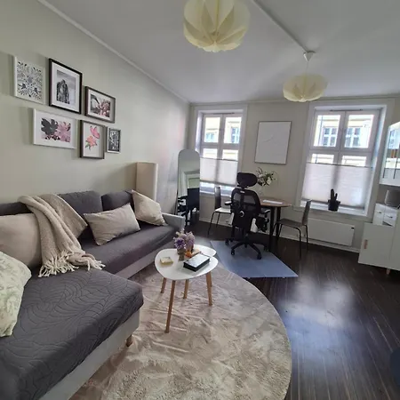 Appartement Entire 1-bedroom Flat With Courtyard In Old Town Oslo